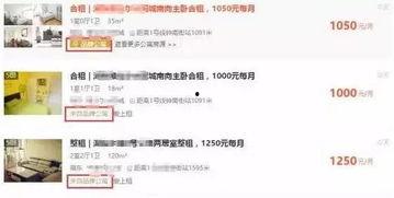 苏州中介最新爆料信息,揭秘热门区域房价走势与投资潜力