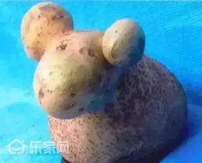 小羊798最新爆料,娱乐圈最新动态大曝光！